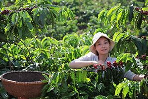 woman-on-a-plantation